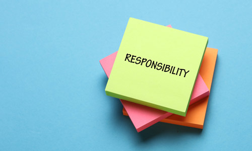 RESPONSIBILITY